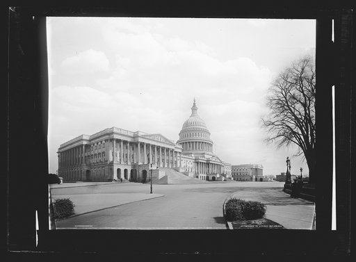 The Capitol at Washington