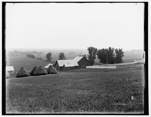 Farm scene near Arion, Boyer Valley, Iowa