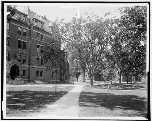 The Yard, Harvard College