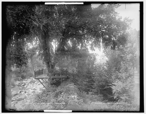 Wentworth Hall and cottages, Jackson, N.H.