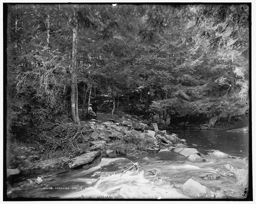 Paradise Falls near Henryville, Pa