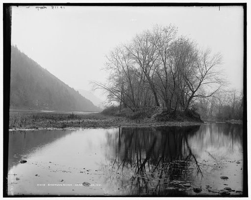 Chemung River near Elmira, N.Y.