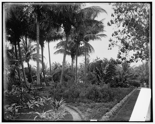 Hotel Royal Poincianna [i.e. Poinciana] and cocoanut grove, Lake Worth, Fla