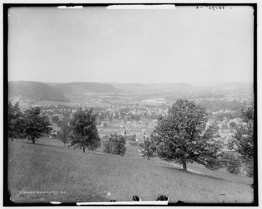 Binghamton, N.Y.
