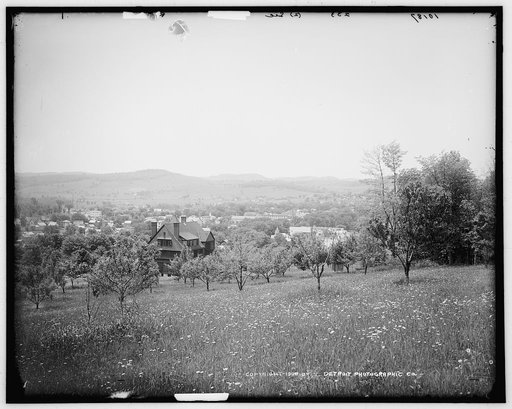Richfield Springs, N.Y.