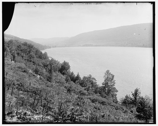 Lake Skan[e]ateles. N.Y.