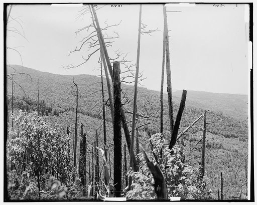 Zealand Valley from Mt. Echo, White Mountains
