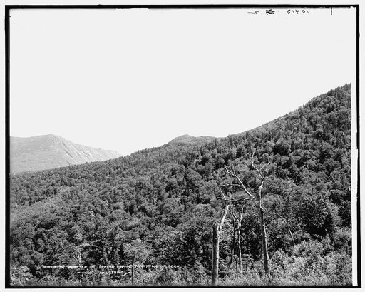 Mt. Webster, Mt. Avalon and Mt. Tom from Mt. Echo, White Mountains