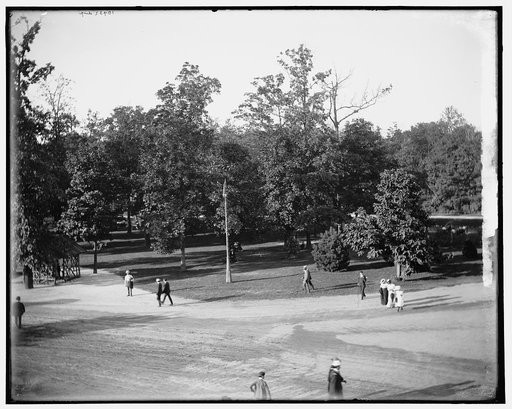 Central Ave., Belle Isle Park, Detroit