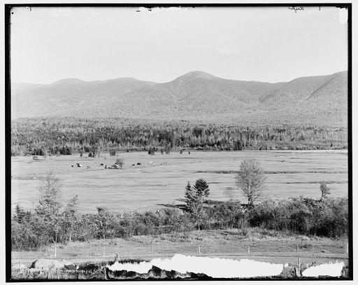Presidential Range and Crawford Notch from golf links, White Mountains, N.H.