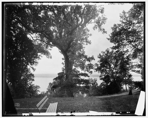 The Mansion and grounds, Mt. Vernon, Va.