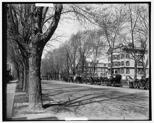 The Laurel House, Lakewood, N.J.