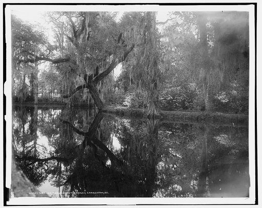 The Lake, Magnolia-on-the-Ashley, [Magnolia Gardens], Charleston, S.C.