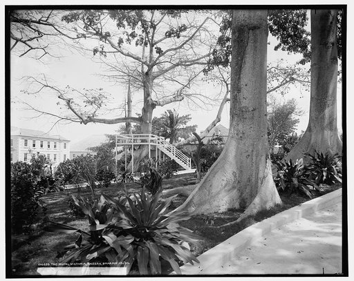 The Royal Victoria, Nassau, Bahama Isl'ds