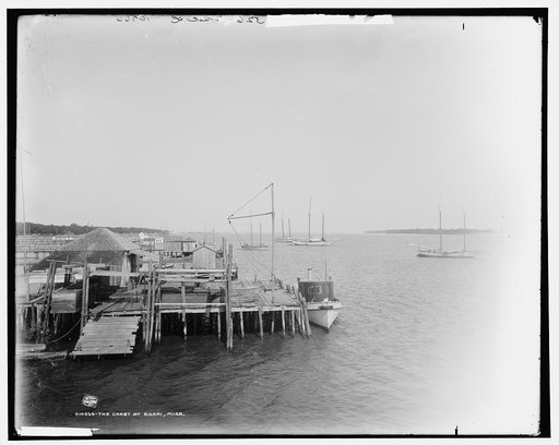 The Coast at Biloxi, Miss