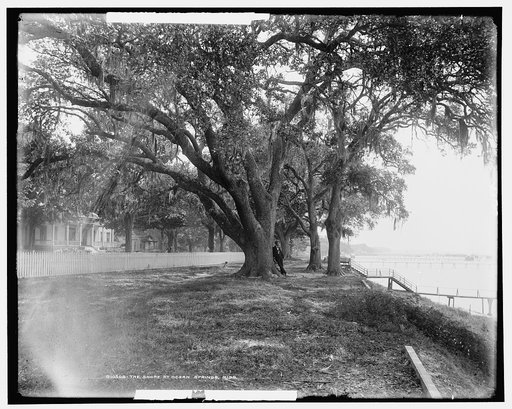 The Shore at Ocean Springs, Miss