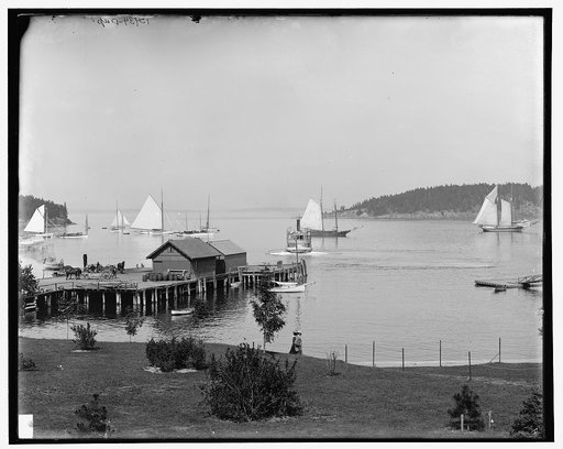 Bar Harbor, Mt. [Mount] Desert Island, Me., the harbor from Newport House