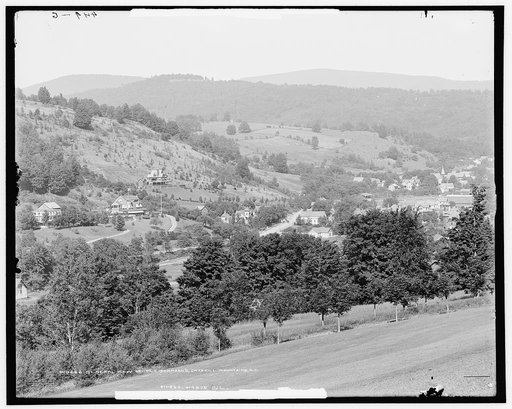 General view of Fleischmann's, Catskill Mountains, N.Y.