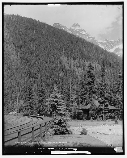 Illecillewaet Glacier from Glacier House, Selkirk Mountains, B.C.