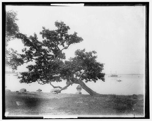 N.Y. Yacht Club station no. 5 and Derring's [i.e. Dering] Harbor from Manhansett [sic], Shelter Island, N.Y.