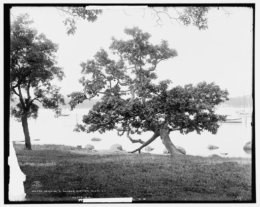 Derring's [sic] Harbor, Shelter Island, N.Y.
