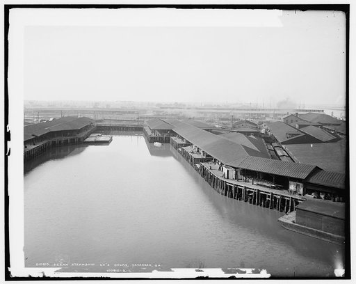Ocean Steamship Co.'s docks, Savannah, Ga.