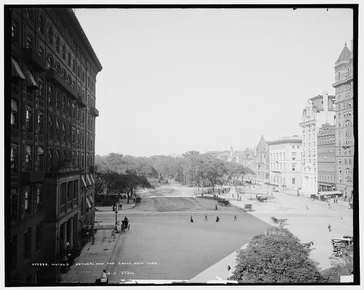 Hotels Netherland and Savoy, New York