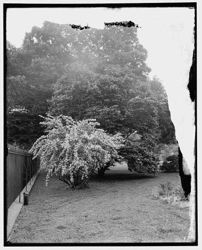 White House grounds, Washington, D.C.