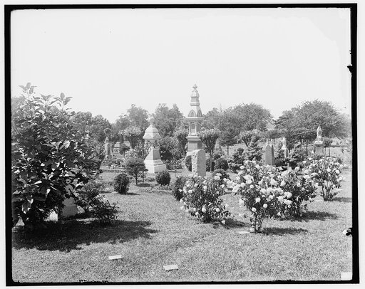 Cedar Grove Cemetery, near Flushing, Long Island, N.Y.