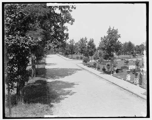 Cedar Grove Cemetery