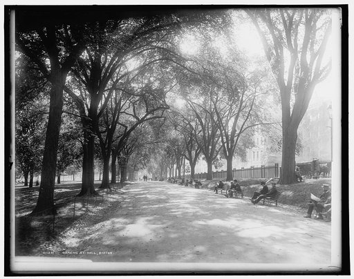 Beacon St. mall, Boston