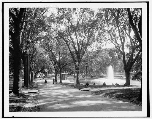 Fountain in frog pond, the Common, Boston, Mass.