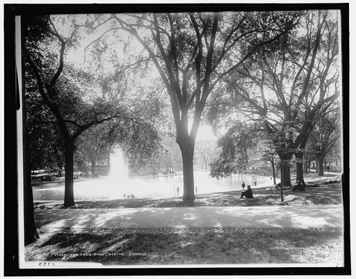 The Frog pond, Boston Common