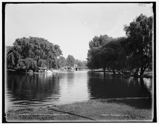 North end of lake in Public Garden, Boston