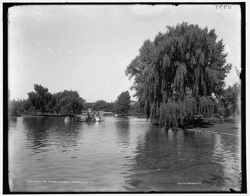 South end of lake in Public Garden, Boston