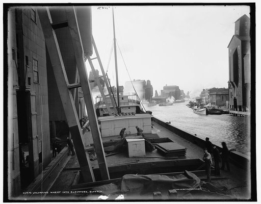 Unloading wheat into elevators, Buffalo