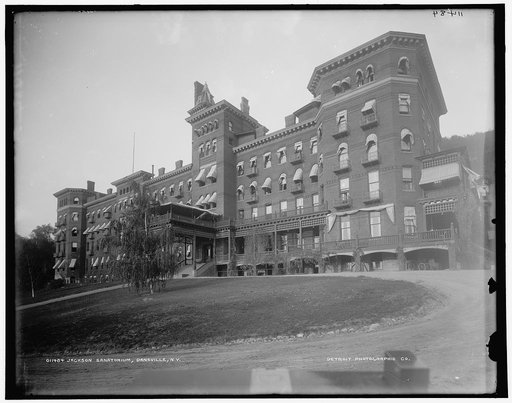 Jackson Sanatorium, Dansville, N.Y.