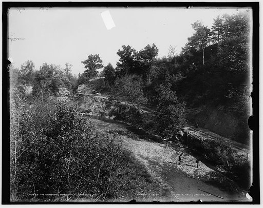 The Narrows, Poagshole, Dansville, N.Y.