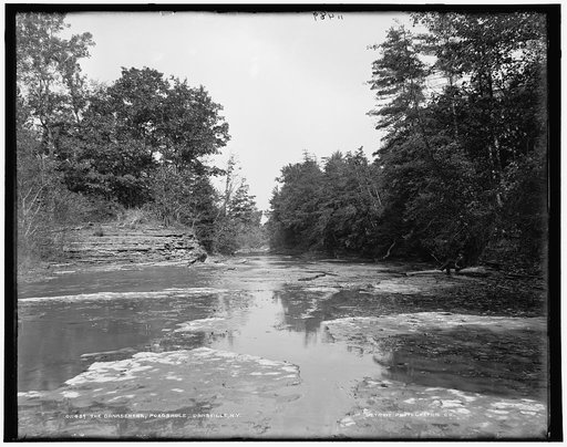 The Conaseraga [i.e. Canaseraga], Poagshole, Dansville, N.Y.