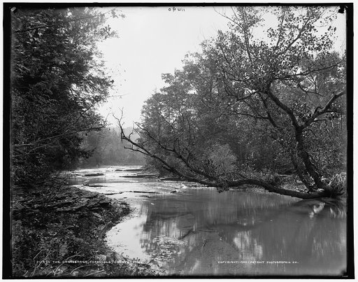The Conaseraga [i.e. Canaseraga], Poagshole, Dansville, N.Y.
