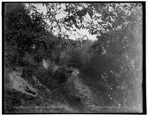 Lower entrance, Stony Brook Glen, Dansville, N.Y.