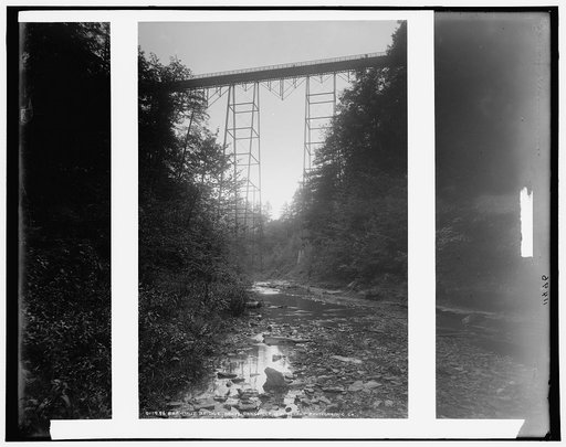 Shawmut Bridge, above Dansville, N.Y.