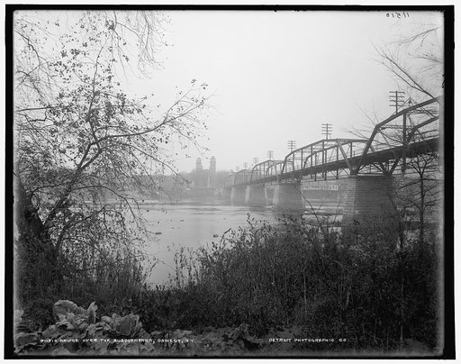 Bridge over the Susquehanna, Oswego [i.e., Owego], N.Y.
