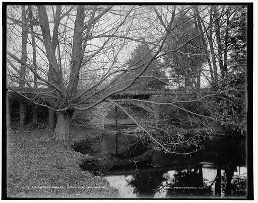 Farnum Bridge, Richfield Springs, N.Y.