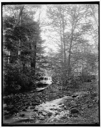 Wiscasset Glen, Mt. Pocono, Pa.