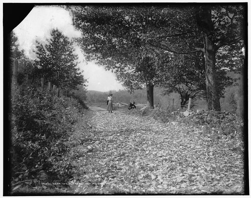 Near Mt. Pleasant, Mt. Pocono, Pa.
