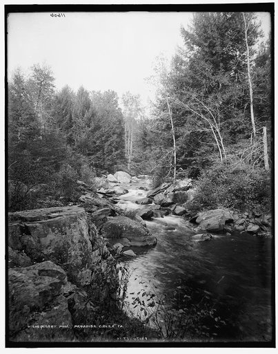 Quarry pool, Paradise Creek, Pa.
