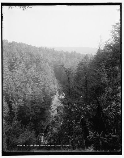 Up the Analomink from high rock, Henryville, Pa.