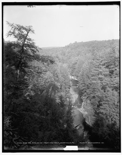 Down the Analomink from high rock, Henryville, Pa.