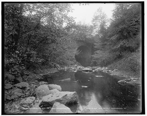 Nay Aug Glen near the tunnel, Scranton, Pa.